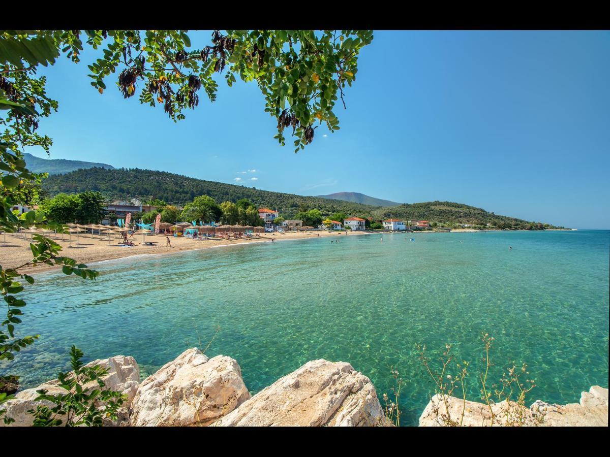Pasithea House Apartment Skala Sotiros Bagian luar foto